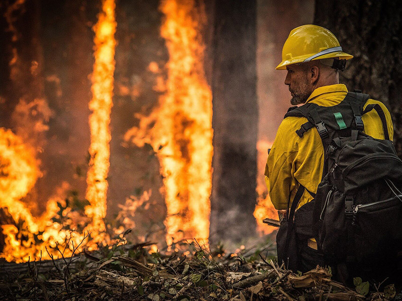 A firefighter faces the flames